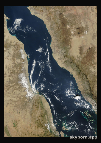 The Earth on 7 December 2024 · Red Sea