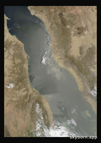 The Earth on 31 July 2025 · Red Sea