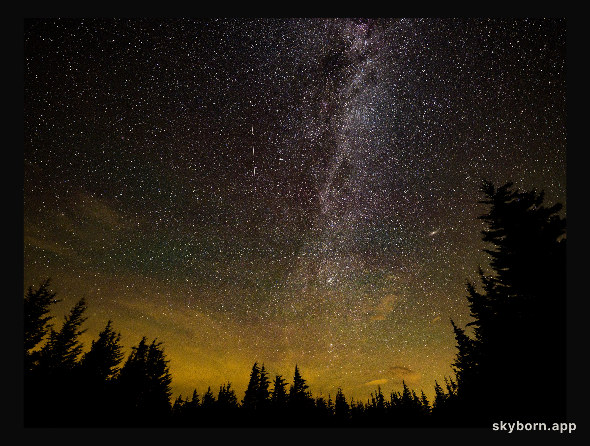 Perseid Meteor Shower