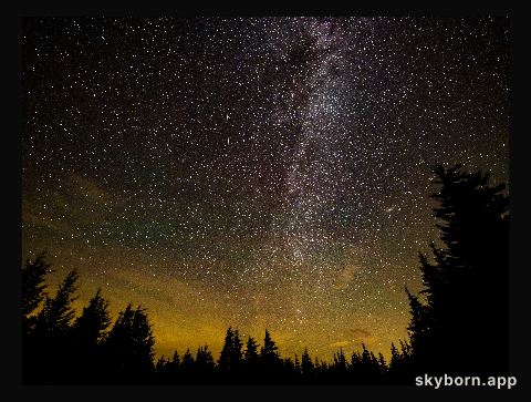 Perseid Meteor Shower