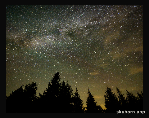 Perseid Meteor Shower