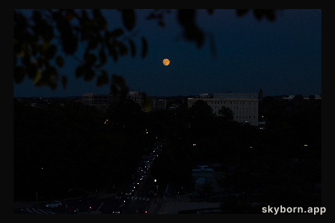 Moonrise Over Washington
