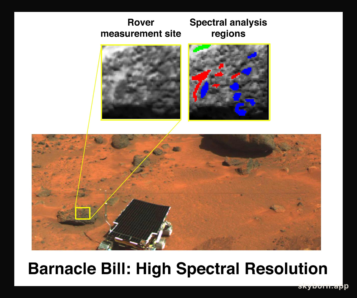 High Spectral Resolution Image of Barnacle