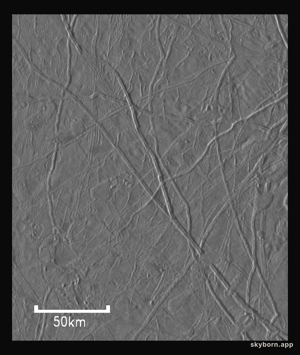 Flow-like Features On Europa