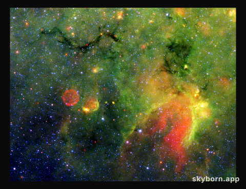 Where Galactic Snakes Live