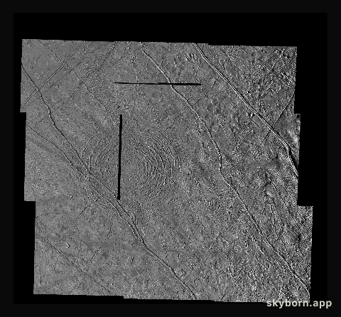 The Tyre multi-ring Structure on Europa