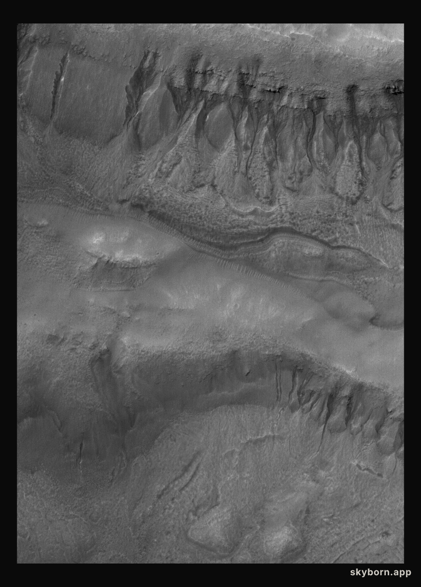 Bi-level Gullies