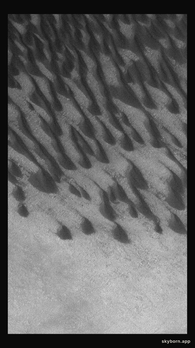 Dunes in Brashear