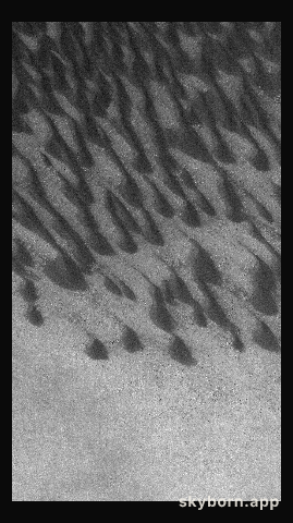 Dunes in Brashear