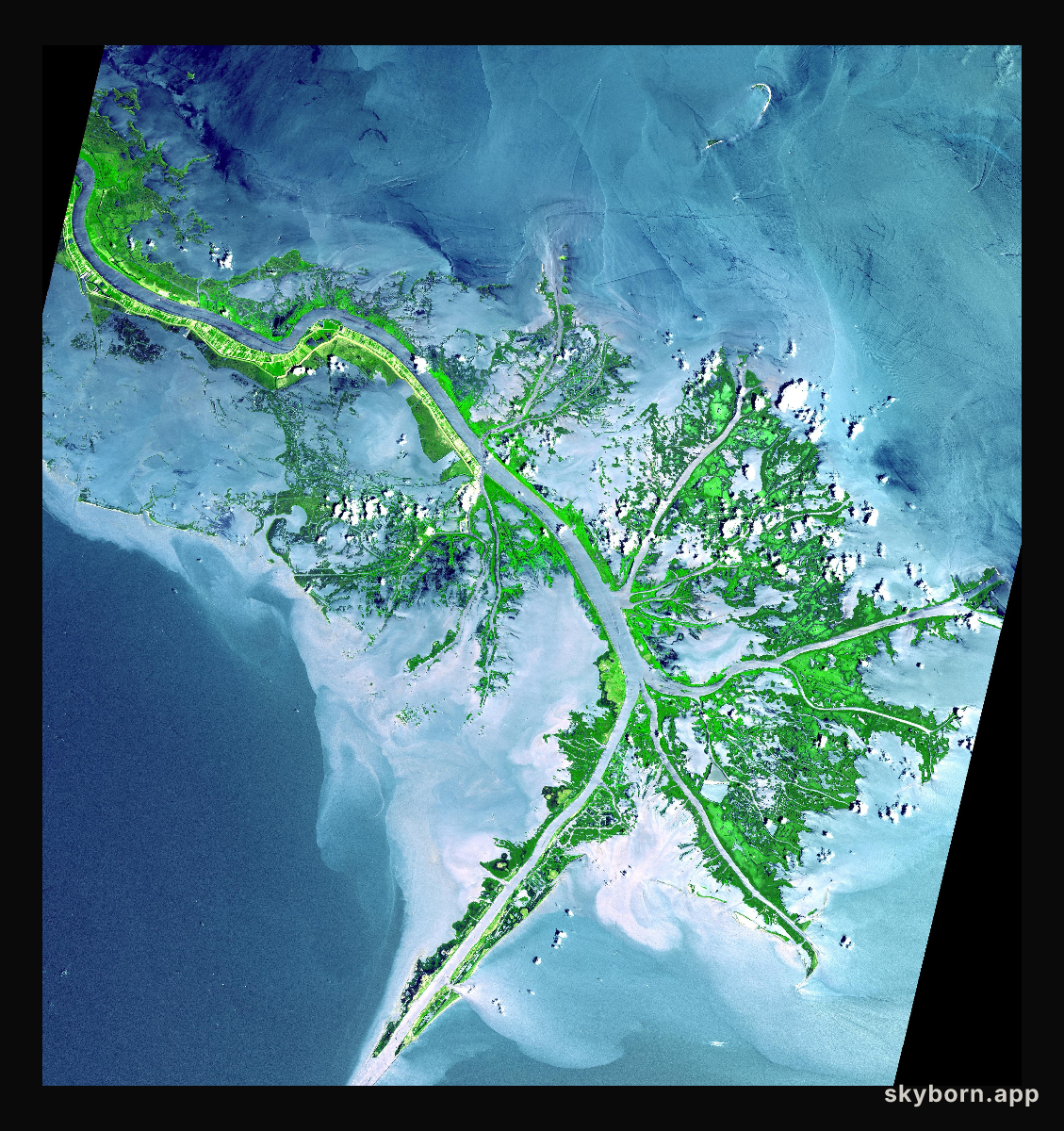 Mississippi River Delta