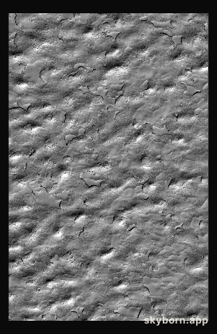South Polar Cap