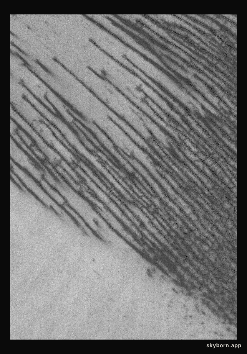 Polar Features