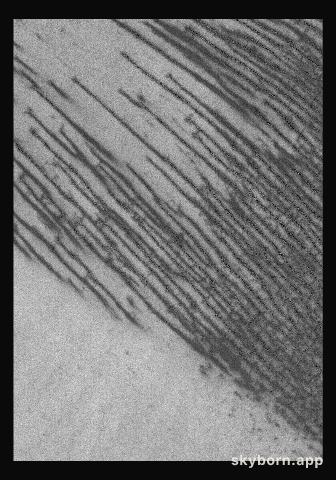 Polar Features