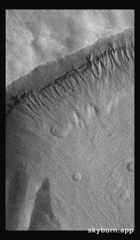 Martian Gullies