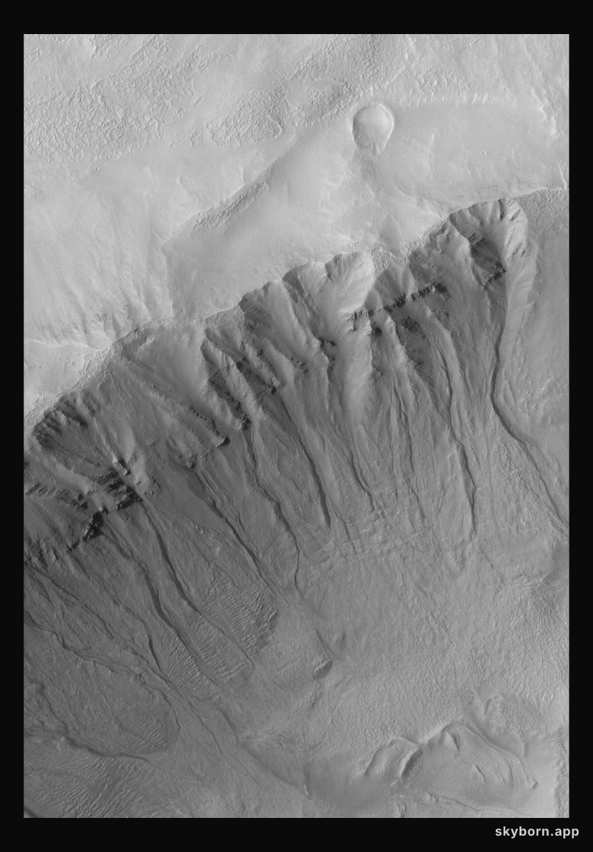 Martian Gullies