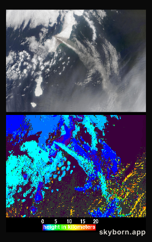 Height and Motion of the Chikurachki Eruption Plume