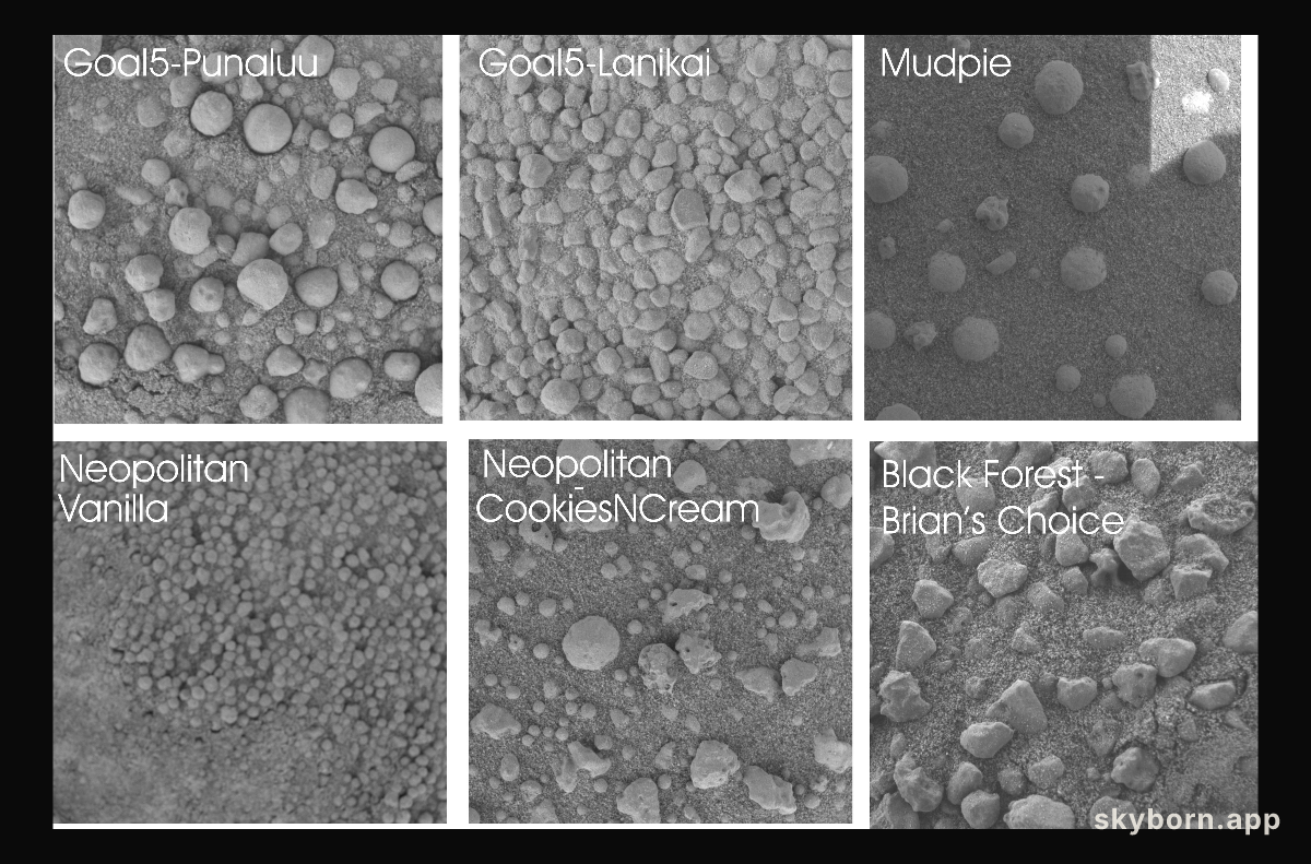 No Two Soil Patches Are Alike