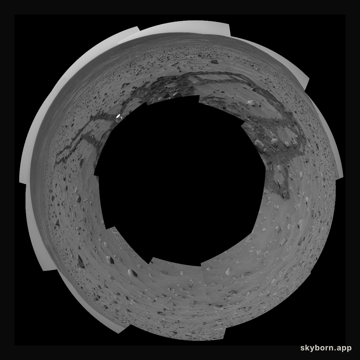 Meandering Tracks on Husband