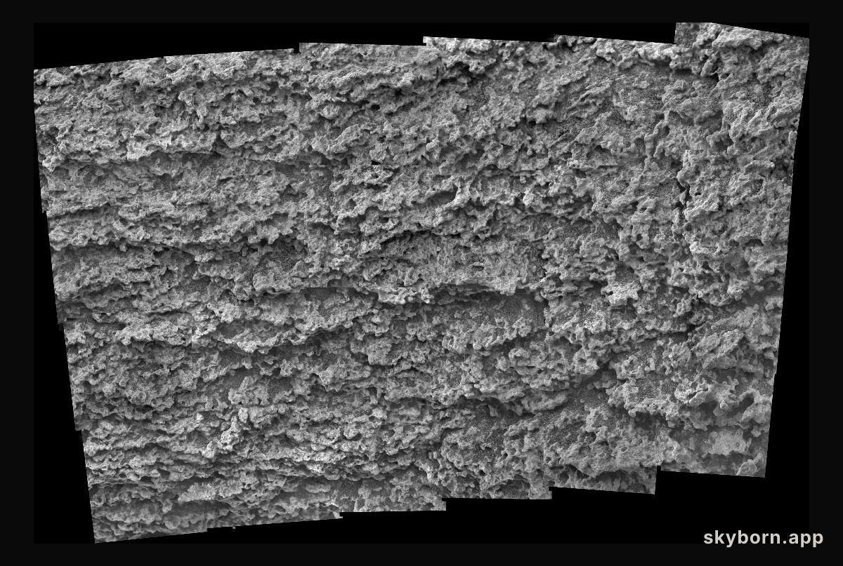 Close-up of Keystone on Methuselah Outcrop