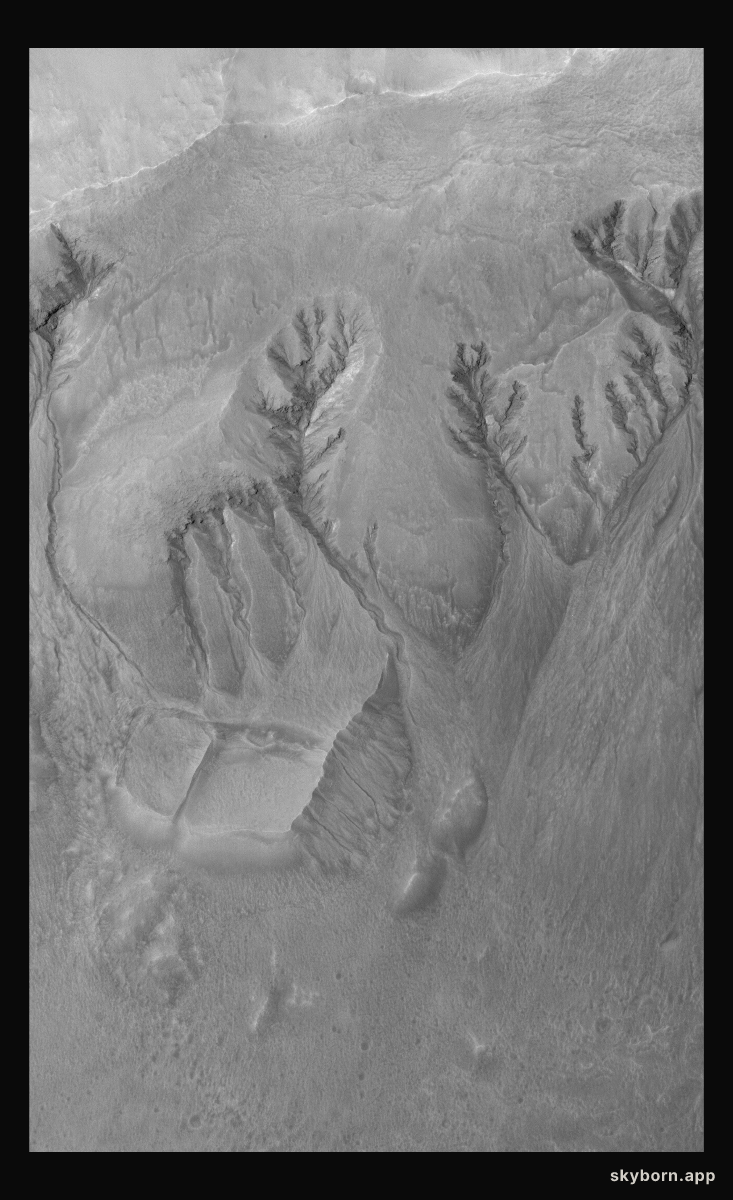 Terra Sirenum Gullies