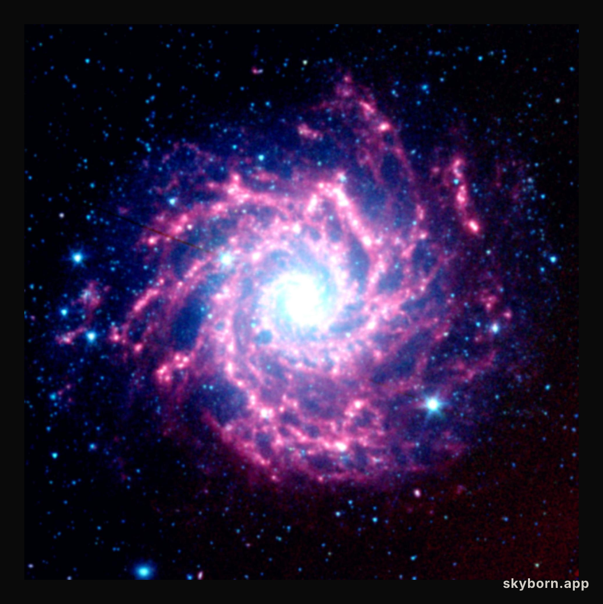 Supernova Dust Factory in M74
