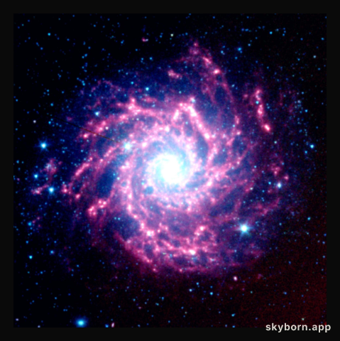 Supernova Dust Factory in M74