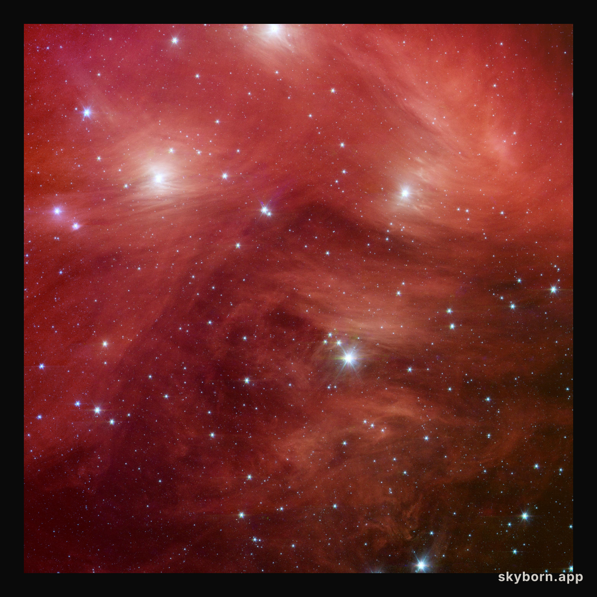 Pink Pleiades