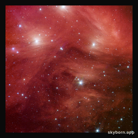 Pink Pleiades