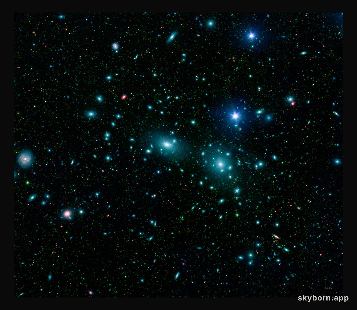 Dwarfs in Coma Cluster