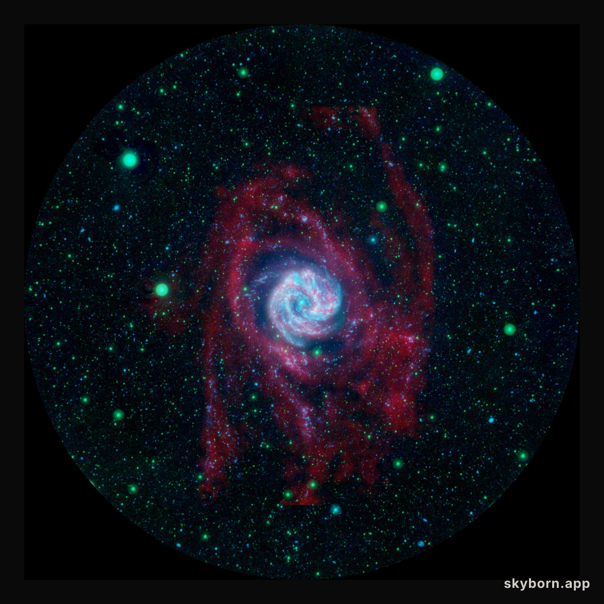 Beyond the Borders of a Galaxy