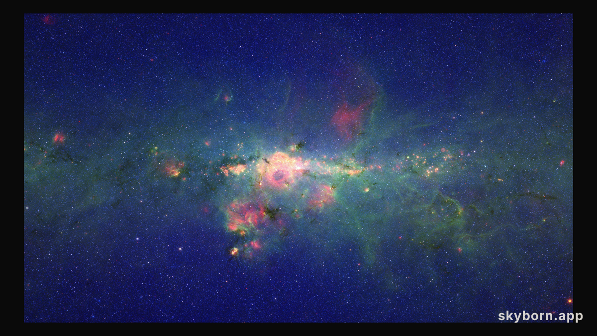 Peony Nebula Star Settles for Silver Medal