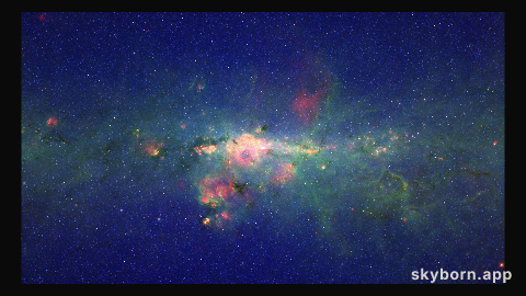 Peony Nebula Star Settles for Silver Medal