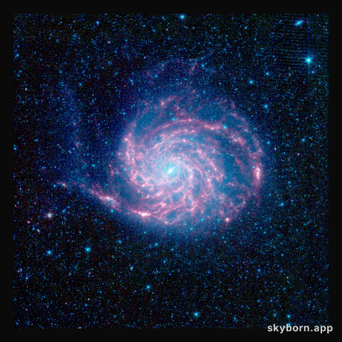 Pinwheel Looks Fab in Infrared