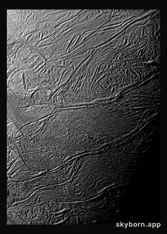 Tiger Stripes...Magnified!
