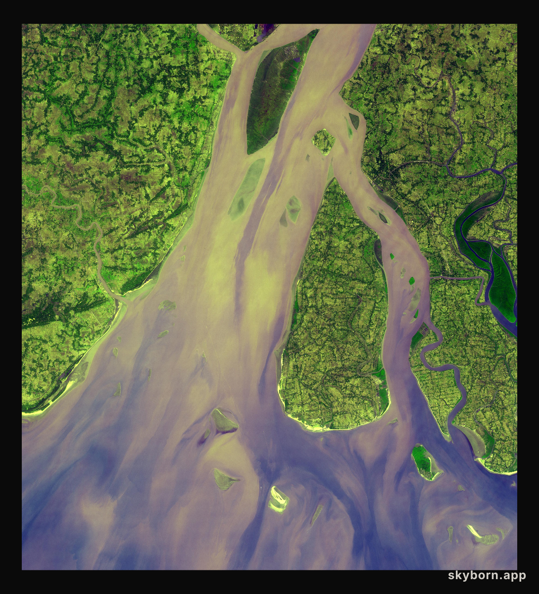 Hugli River Delta, India