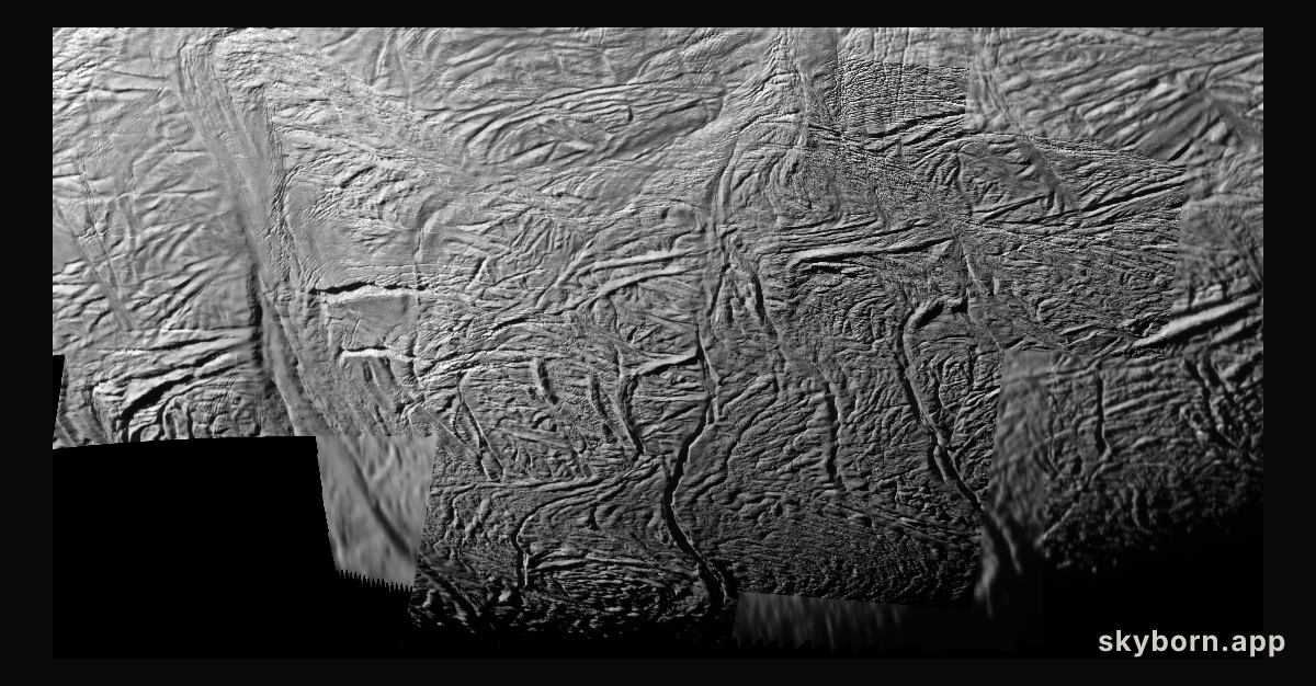 Enceladan Tectonics