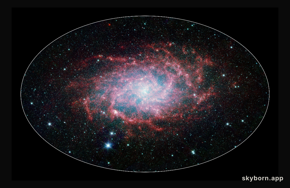 M33: A Close Neighbor Reveals its True Size and Splendor