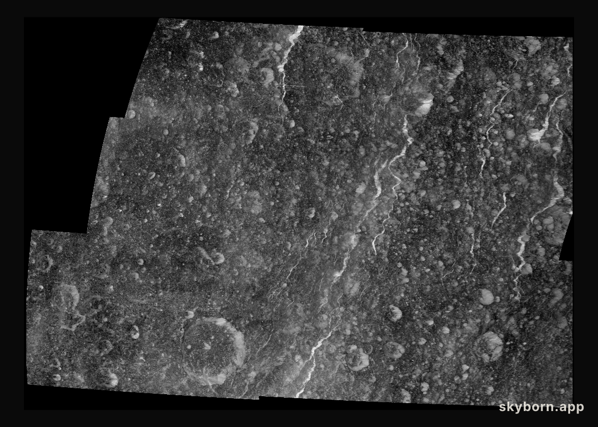 Rhea Western Wisps