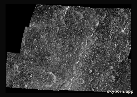 Rhea Western Wisps