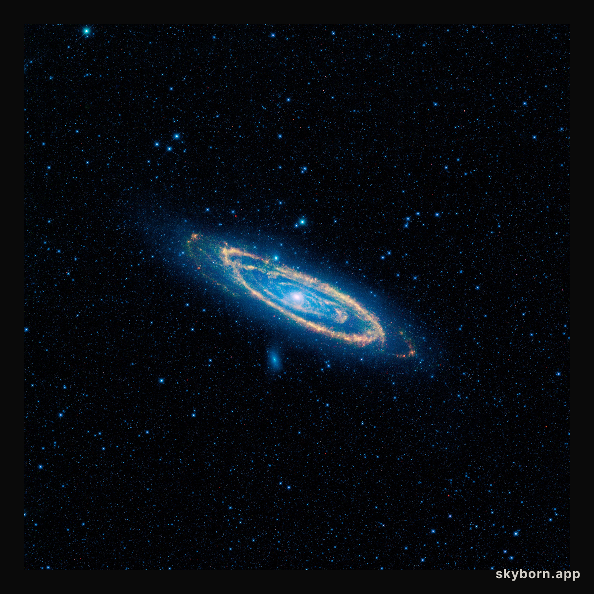 Our Neighbor Andromeda