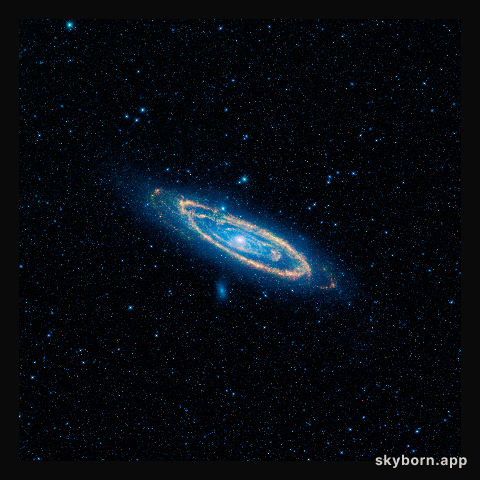 Our Neighbor Andromeda