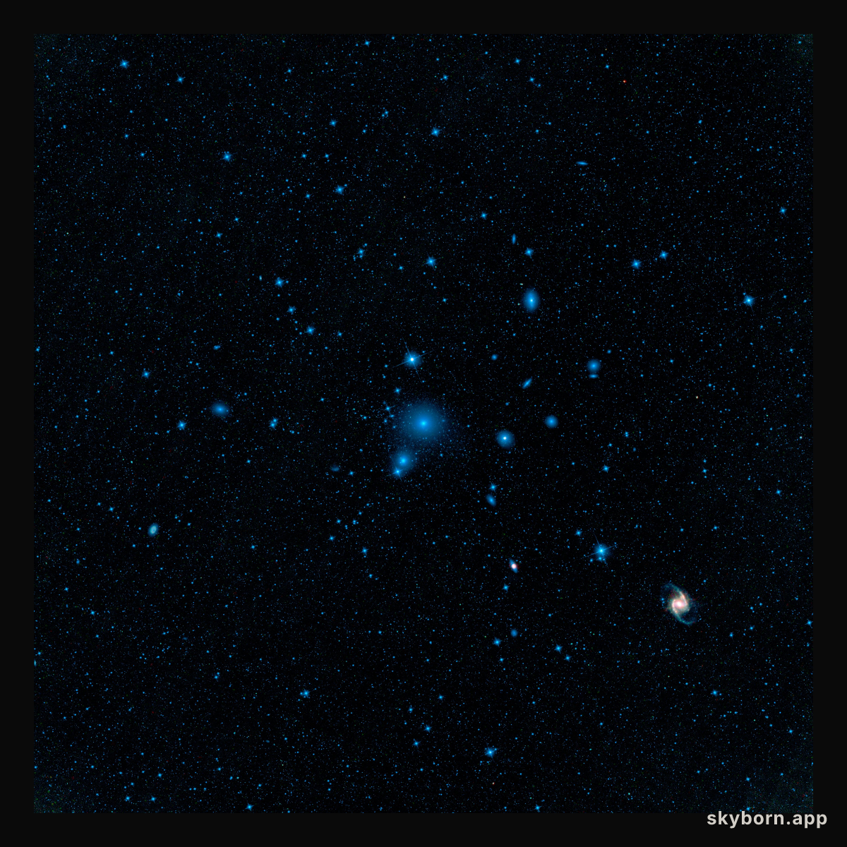 Fornax Galaxy Cluster