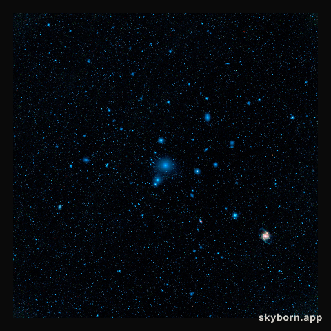 Fornax Galaxy Cluster