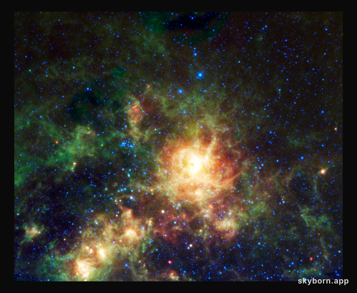 WISE Spies the Tarantula Nebula