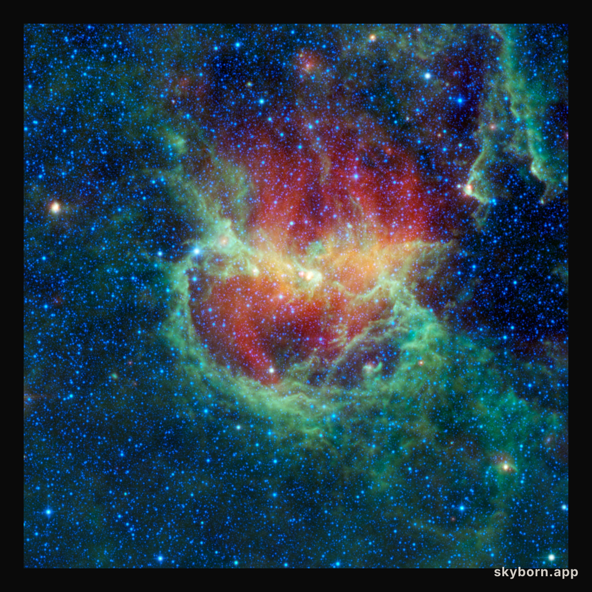 Chasing Chickens in the Lambda Centauri Nebula