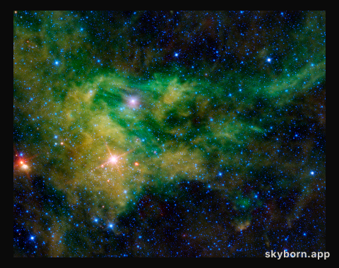 Supergiant Star Near Giraffe Hind Foot