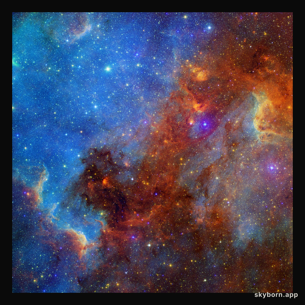 North America Nebula in Different Lights