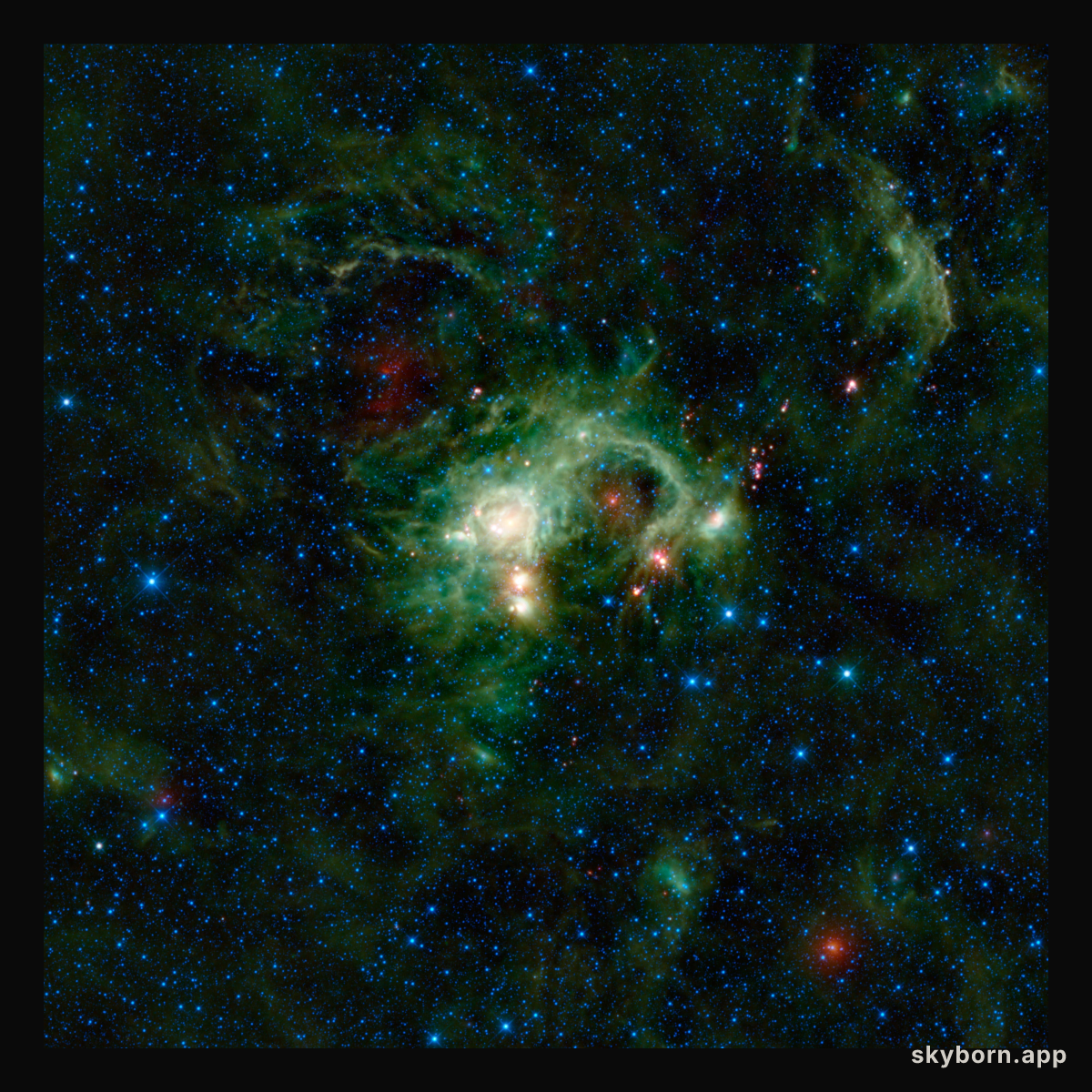 WISE Eyes Evolution of Massive Stars