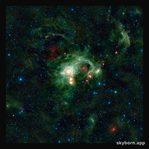 WISE Eyes Evolution of Massive Stars