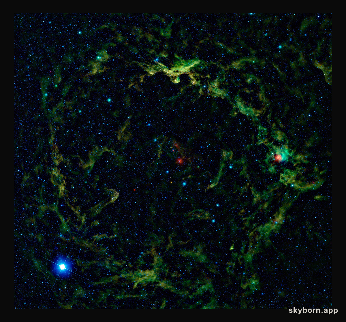 Orion Big Head Revealed in Infrared